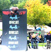 ricky vert wall ,jam 2008