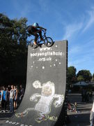 ricky-vert-wall-2010