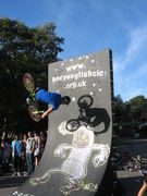 del-vert-wall-flair-2010