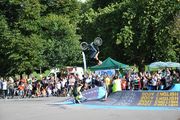 bmxflex-2010