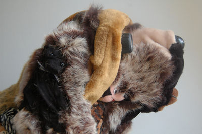 soft dog 4