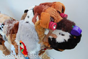 NEW  SOLD Soft Dog