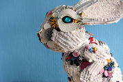 rabbit-rabbit-880