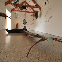 artist plus 300cm long centipede at Kestle Barton