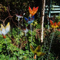 Windy Flowers