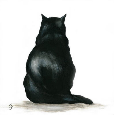 Black Cat