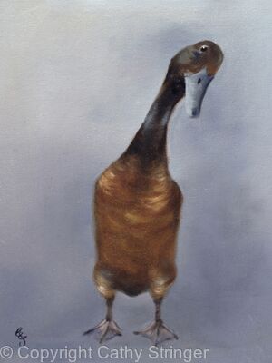 Runner Duck