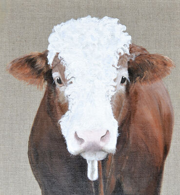 Denzel the bull