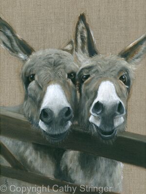 Two Donkeys