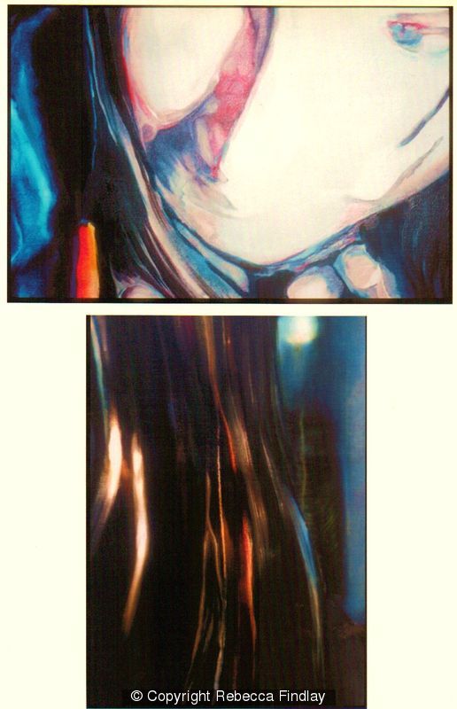 Details from 'Immersed'