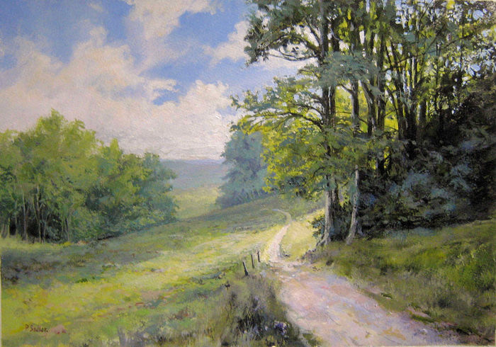 The North Downs at Gatton