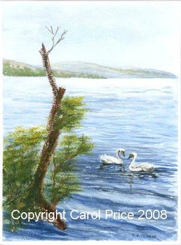 Swans on Loch Lomond