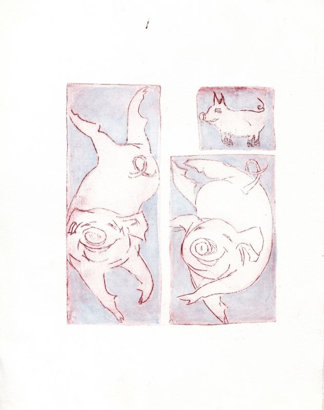 Porcine Pas de Deux