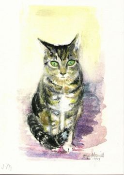 Inconsolable Cat