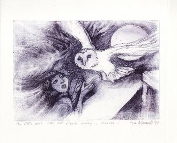 The Little Barn Owl Has Not Flown Away