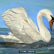 Swan’s Femininity