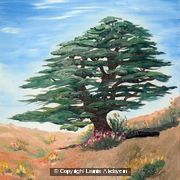 Lebanese & Proud