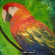 A Life in Colors