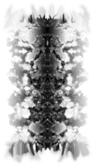 Manifold 1