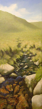 Moorland Stream