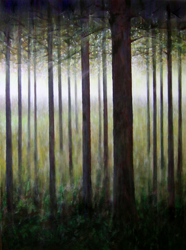 Wilderswood 6