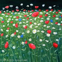 Poppies and daisies in St James Park