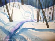 Snow shadows
