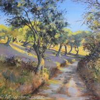 Olive Groves in Autumn