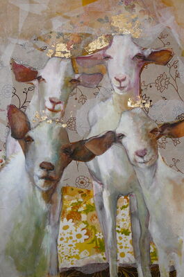 goats-white