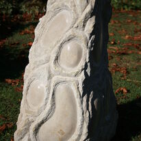 biota III (2009)