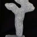coral form 4 (2011)