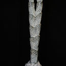 coral form 5 (2011)