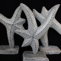 starfish dance group (2011)