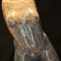 blue torso (2010)