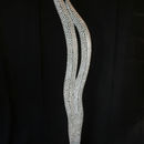 coral form 6 (2011)
