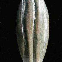 rock plant (2009)