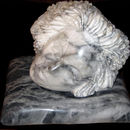 sleepy head (2006)