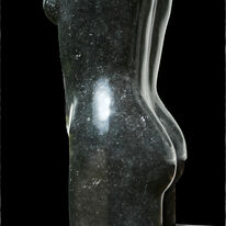 black torso (2008)
