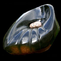 forbidden fruit I (2005)