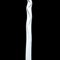 serpent bird (2010)