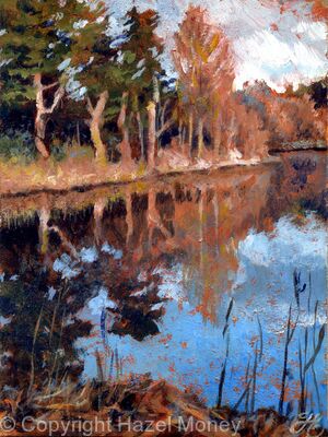 Winter reflections, Stand Wood