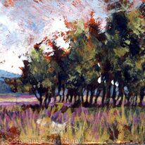 A rustle of Birches