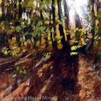 A shaft of sunlight