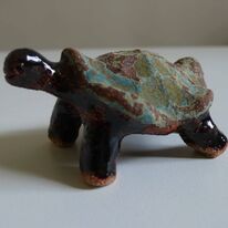Tortoise