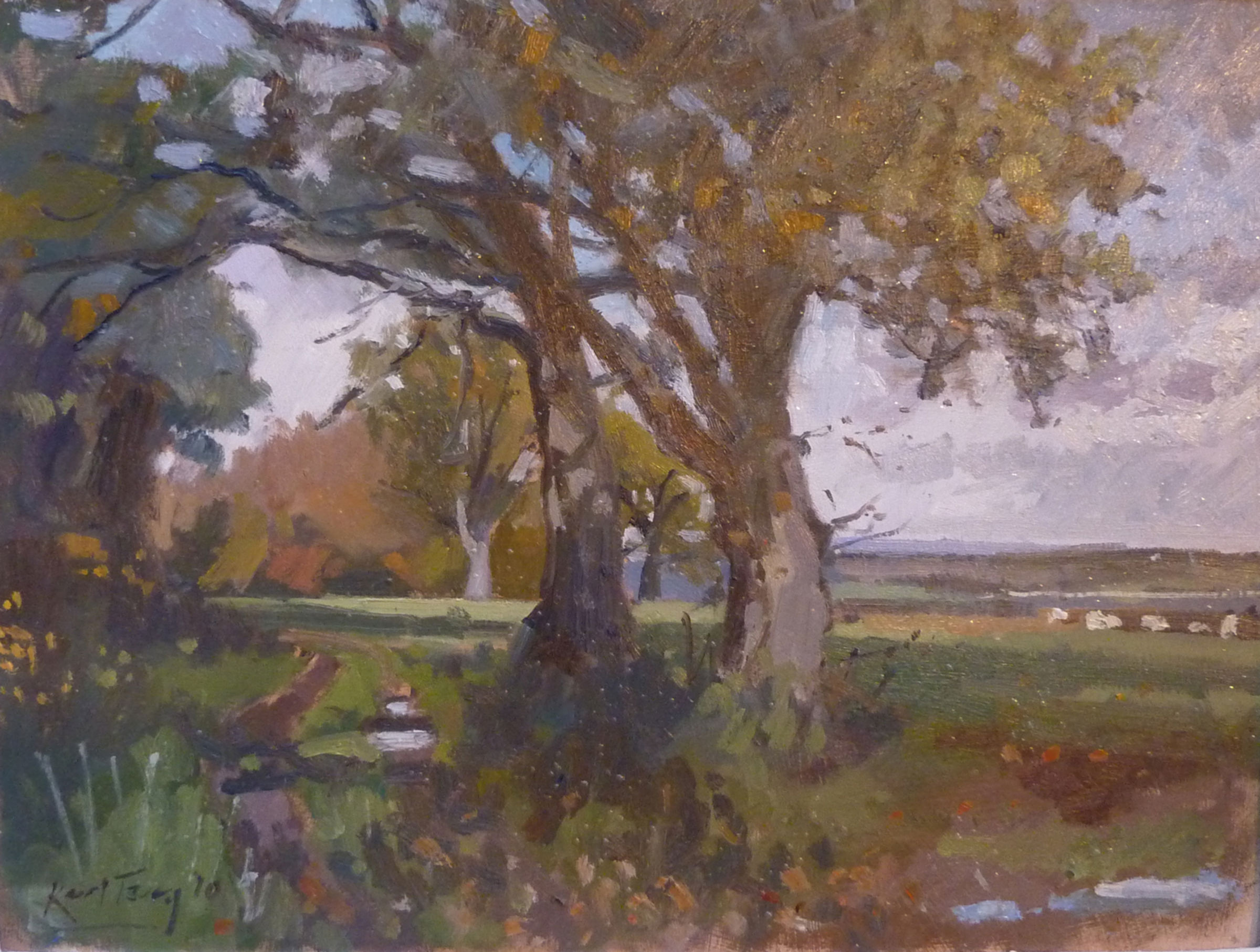 autumn trees Peasmarsh