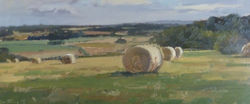 Hay Bales Wittershak