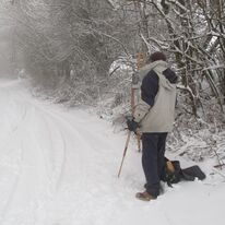 Mad Roy in the snow