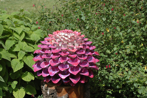 The Bishops Pom Pom