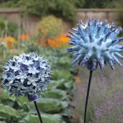 Globe Thistles