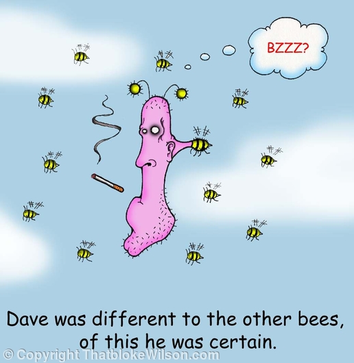 Beez